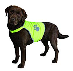 Product recommendation - highviz jacket for dogs