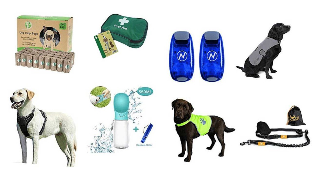 Running with your dog 8 musthave pieces of gear Running 101