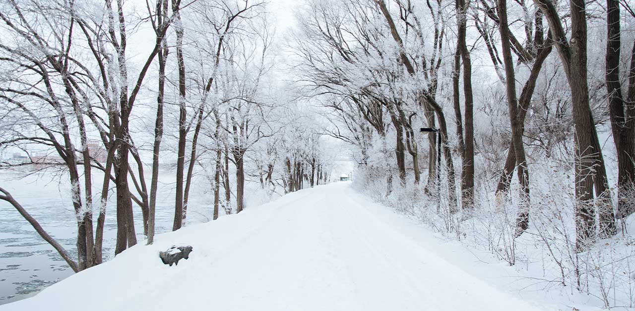 Snowy pavement