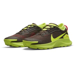 Nike Pegasus trail 3 GORE-TEX trail running shoes
