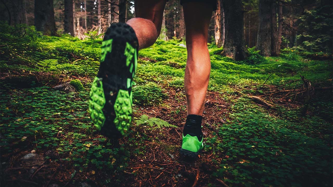 The Best Waterproof Trail Running Shoes (February 2024)